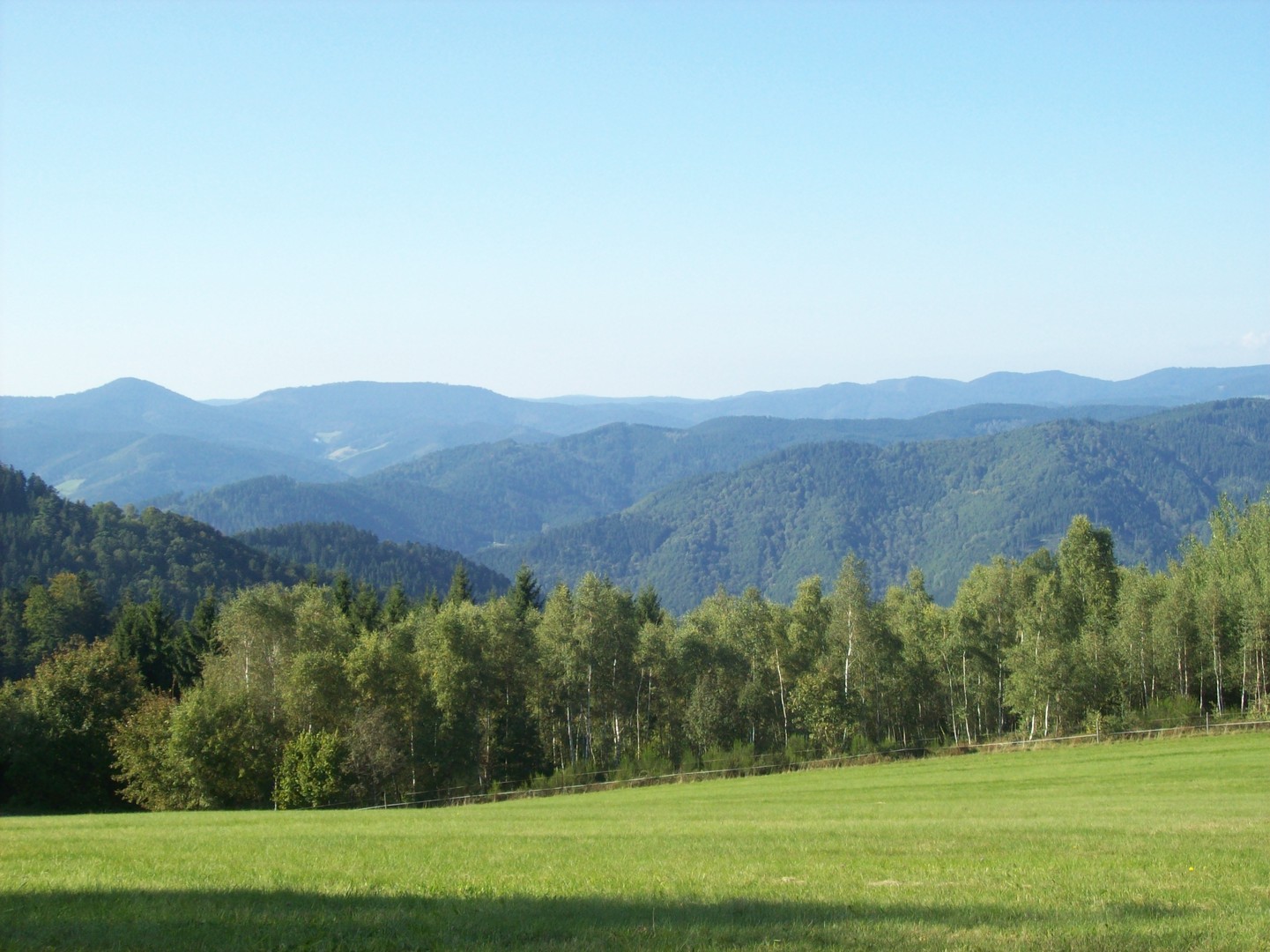 Noch mehr Schwarzwald