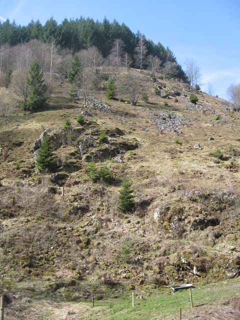 Am Waldrand oberhalb des Weidfelds führt die Straße weiter nach Rohrberg