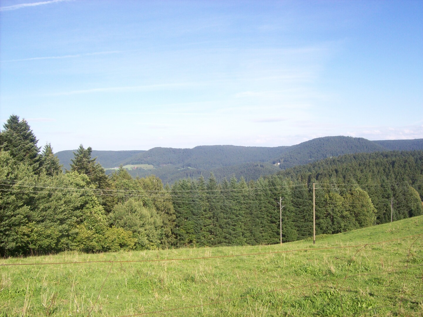 Schwarzwald pur