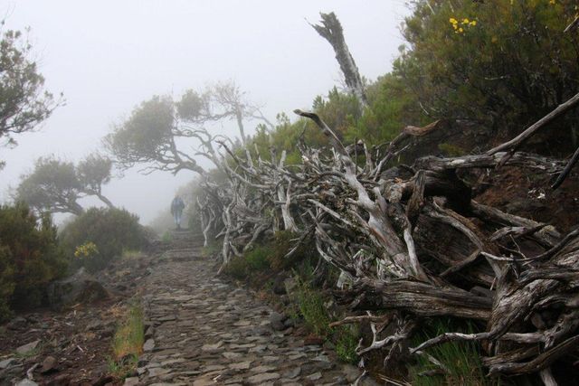 Picodo Arieiro Gipfelwanderung zum Pico Ruivo 2.