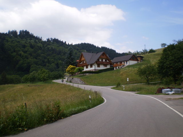 Südanfahrt: Grimmerswald.