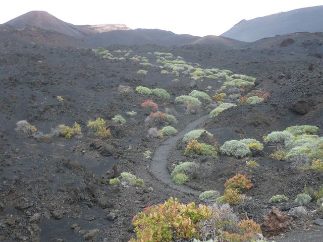 via Las Caletas: Wanderpfad zum Volcano de Teneguia