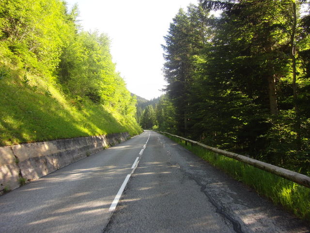 breite Straße kurz im Wald
