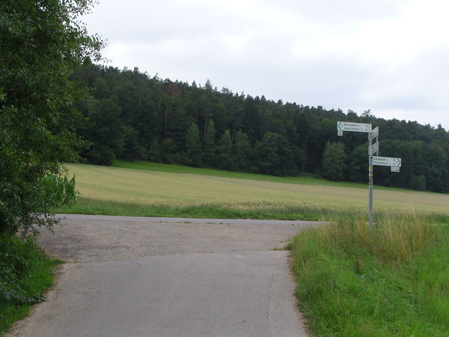 Auf dem Radweg (hier links abbiegen).