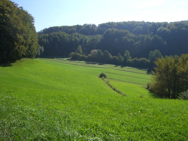 Westanfahrt von Oberhaidelbach: Blick nach rechts vorher.