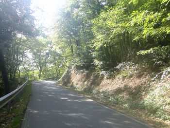 Schmale Straße im Wald