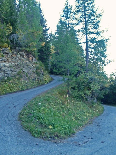 steile Auffahrt zur Alpe Frid.