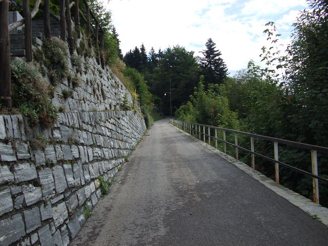 Im oberen Teil von Monte Brè.