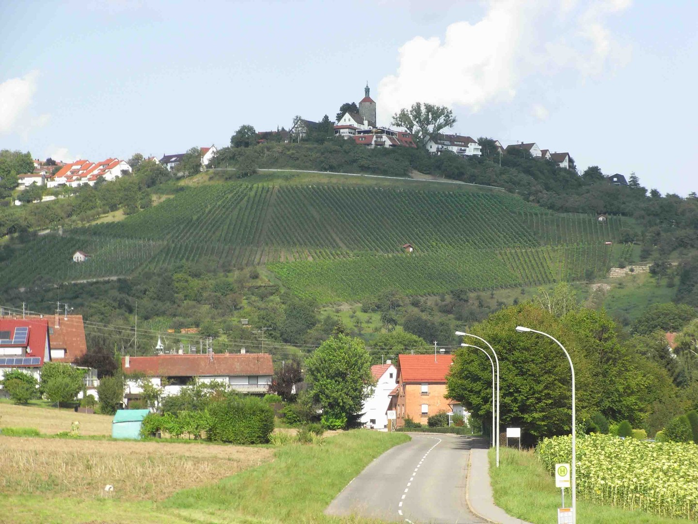 Unterhalb der Burg Alt-Winnenden verläuft die Straße im großen Bogen  den Hang entlang