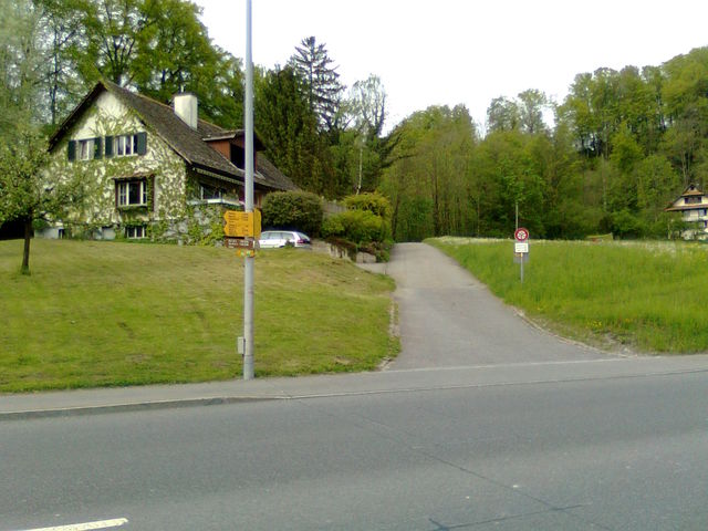 Auffahrt von Sihlbrugg. Hier nach links.