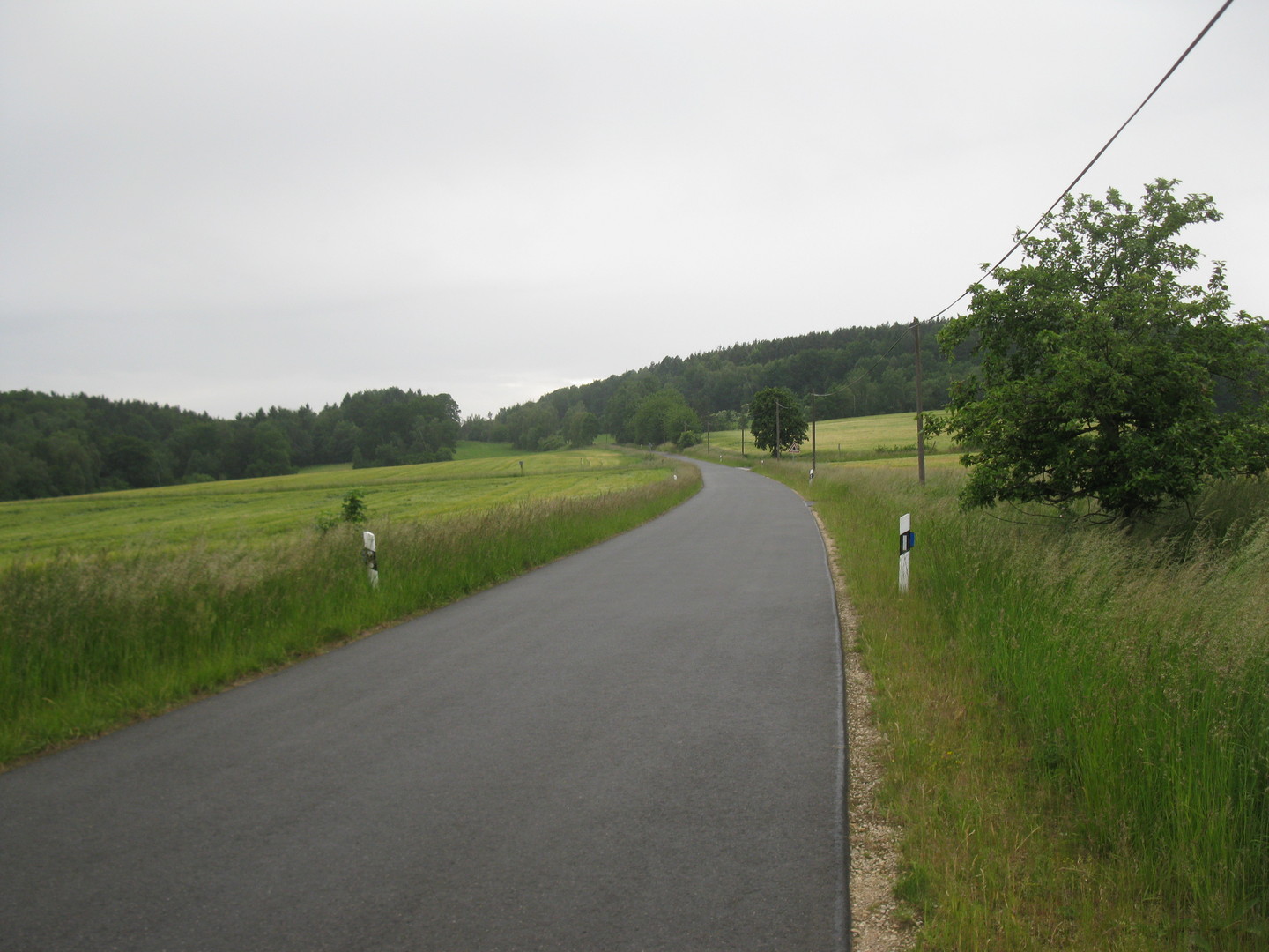Felder zwischen Wolfsbach und Littenhof