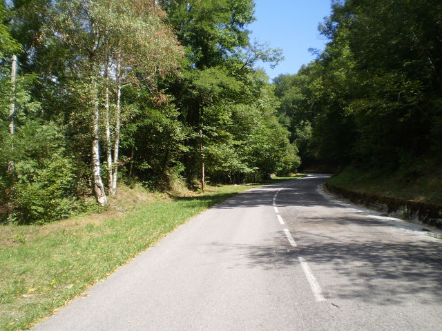 Nordanfahrt: Im unteren Teil im dichten Wald voran.
