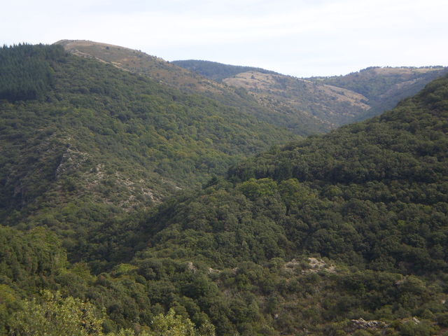 Südanfahrt: Blick auf die Montagne Noire.
