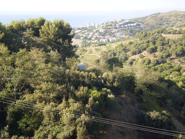 Blick von der Straße zum Alt de la Font de Cera auf Masnou.