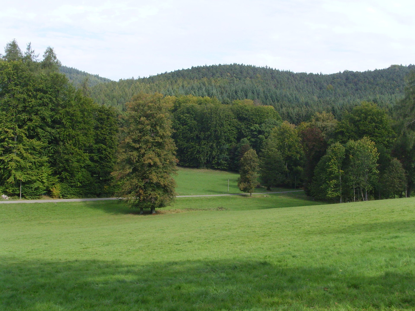 Blick zurück ins Waldleininger Tal.