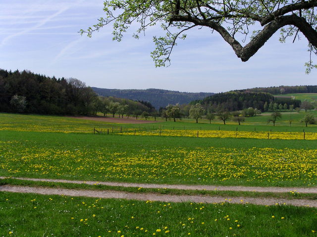 Blickrichtung Reisenbacher Grund.