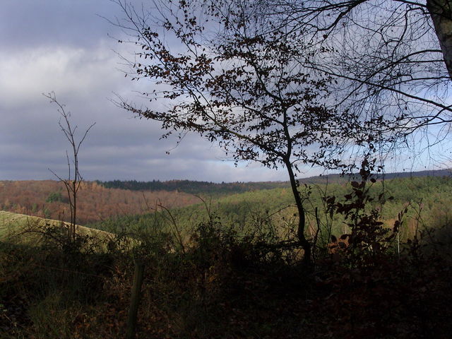 Odenwald pur.
