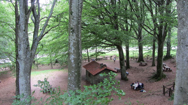Südanfahrt: Picknickplatz im Wald.