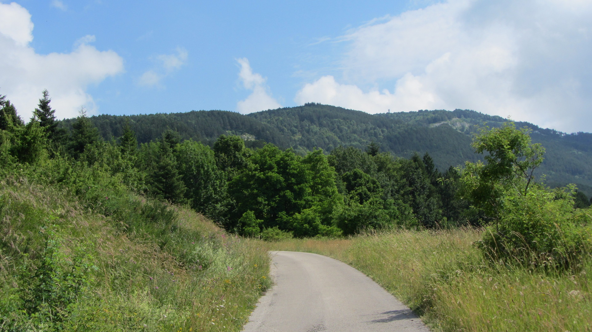 Südwestanfahrt: Blick zum Monte Carpegna.