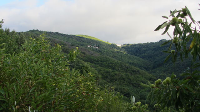 Südanfahrt: Blick auf Combes und den Col des Princes weiter oben.