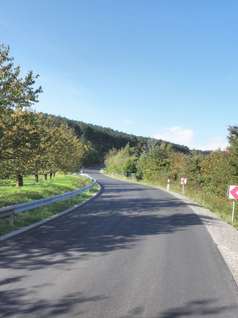 Leinacher Berg