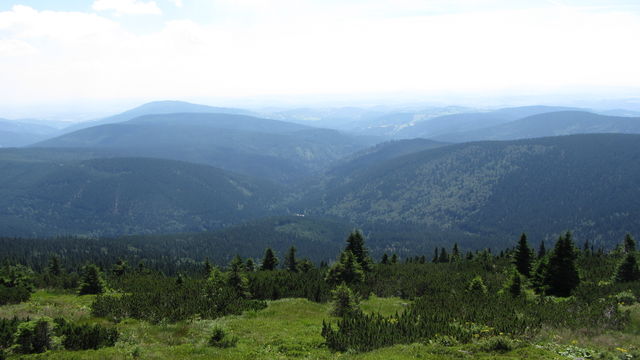 Blick ins Tal der Jizerka.