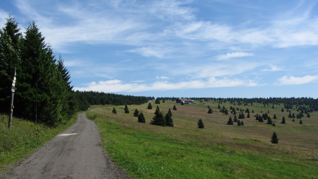Von Vrchlabí: Auf Höhe der Kuprovka bouda.