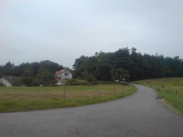Laudenbach - kurz vor der Juhöhe.