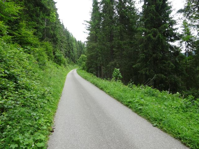 Auffahrt Richtung Alpe Untereck.