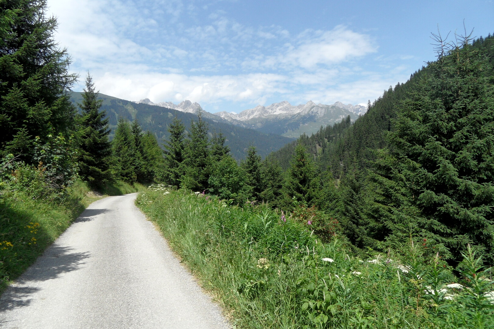 Ausblick zur Hornbachkette in den [[Allgäuer Alpen|regionen|allgauer-alpen]]
