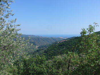 Blick von Villatalla Richtung Küste