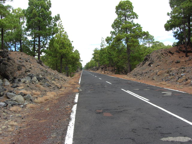 Küstenanfahrt: Miese Straße in der corona forestal.