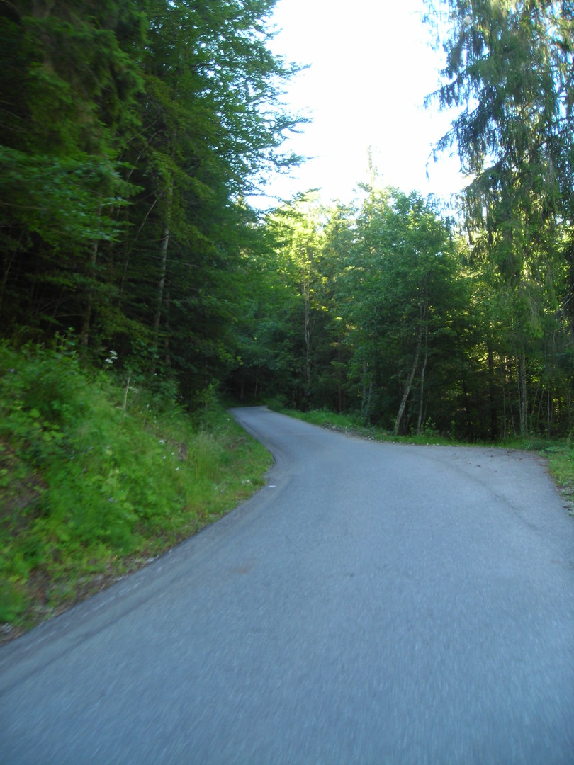 Das erste Steilstück verläuft noch im Wald. 
