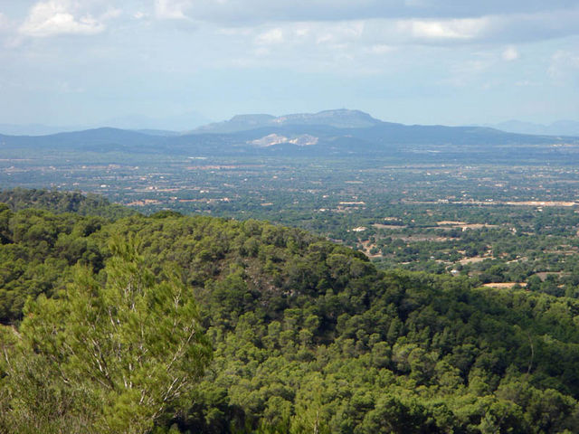 Blick auf den Puig de Randa.