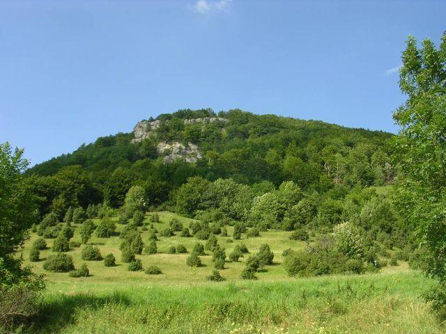Blick vom unteren Teil der Steige. Typische Vegetation für die Schwäbische Alb ist die Wachholderheide unterhalb des Oberbergfelsens.