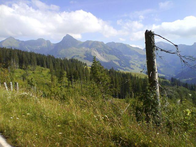 Panorama bei Selibühl, Teil 1