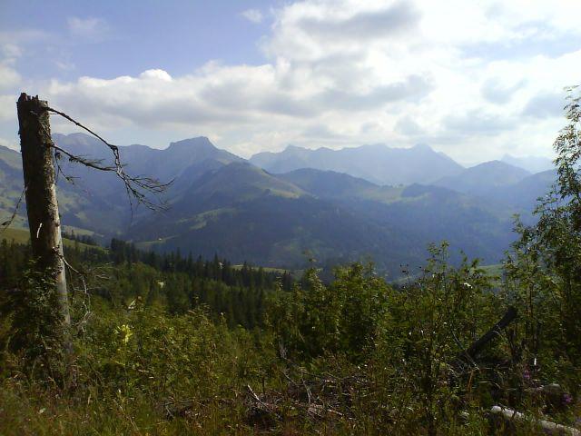 Panorama bei Selibühl, Teil 2