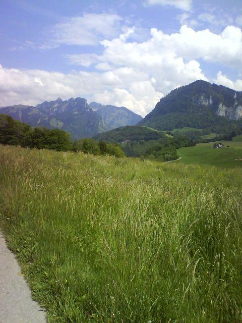 Blick ins Tal des Jaunbachs.