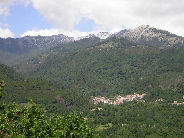 Blick Richtung Ciamanacce von Cozzano aus.