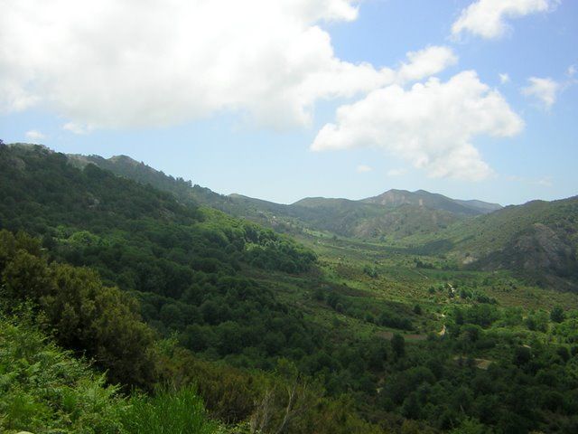 Blick zum Col de la Vaccia.
