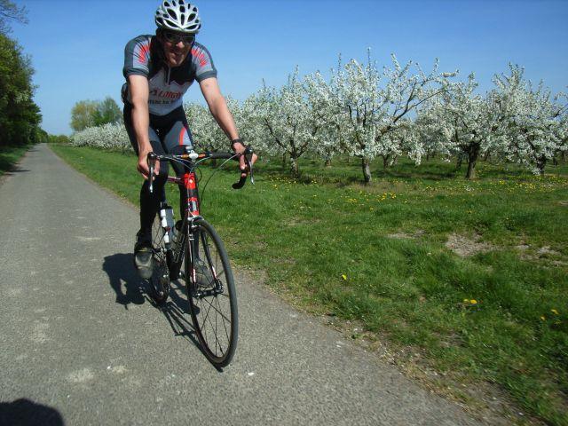 Die Anfahrt nach Ersdorf kann schön durch die Apfelplantagen erfolgen.