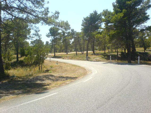 Naturschutzgebiet "Foret de Font Blanche" am Grand Caunet.