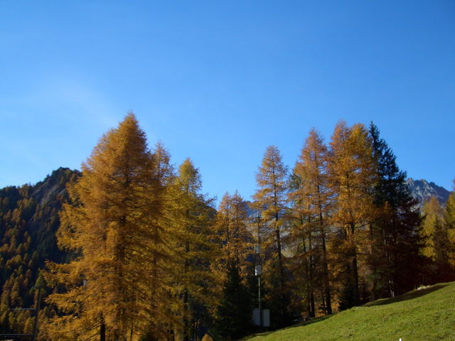 Albula im Herbst