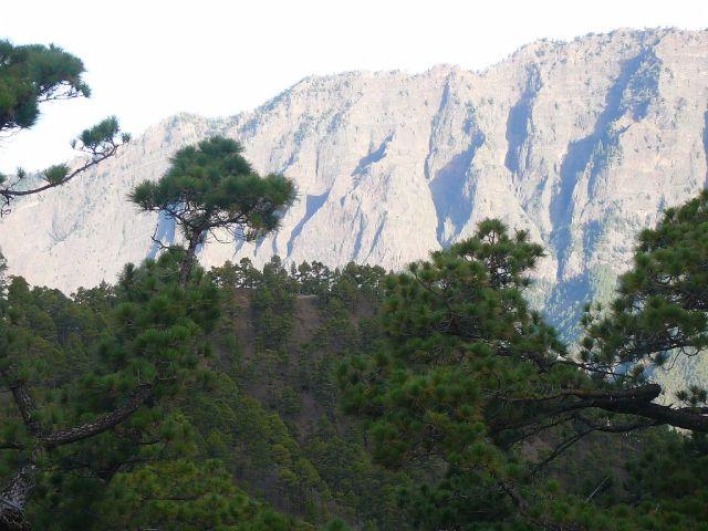 Blick von der Cumbrecita in die Caldera.