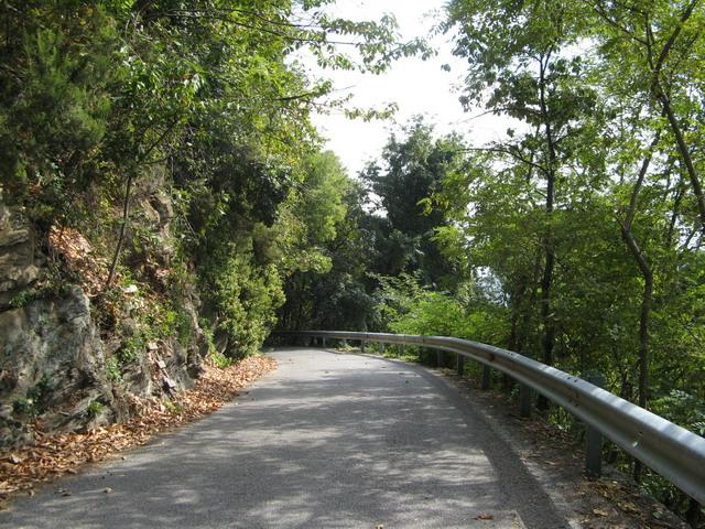 Steile, enge Straße hinter Alpicella.