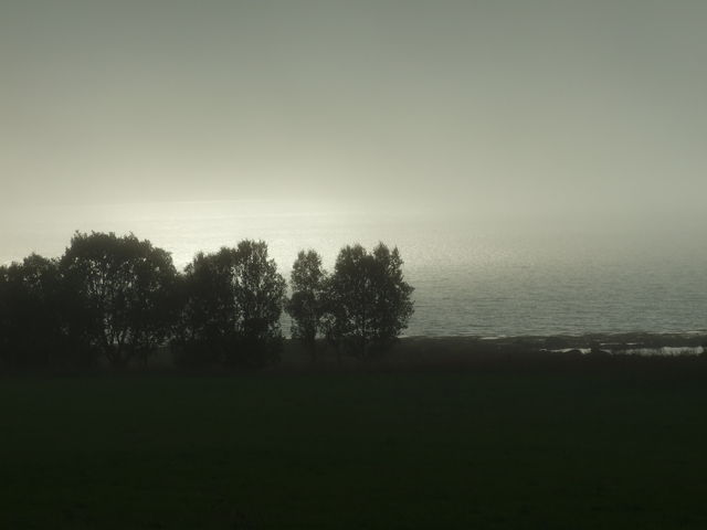 Nebel des Grauens.