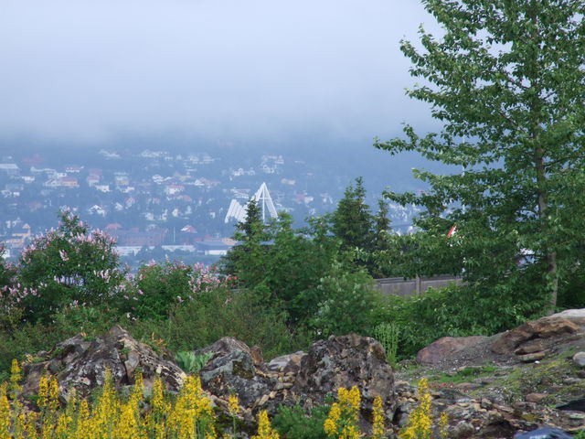 Tromso Botanischer Garten Blick auf Eismeerkathedrale.