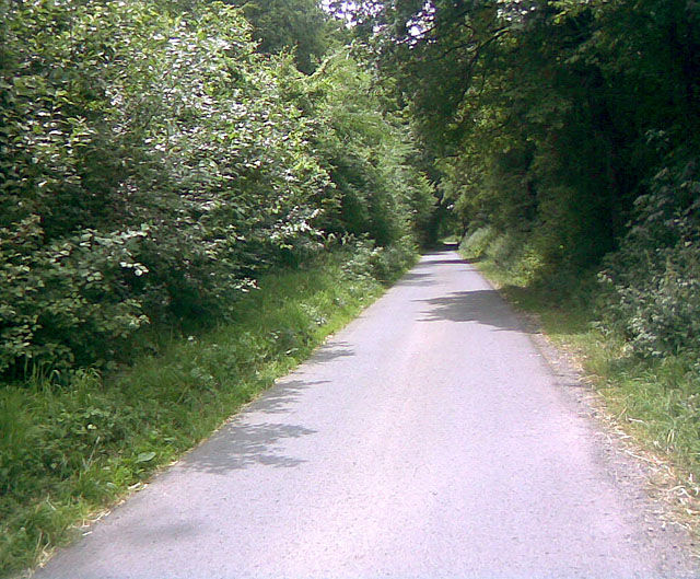 Nordanfahrt - Waldstück im mittleren Teil.