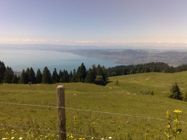 Der Genfer See von Les Agites aus