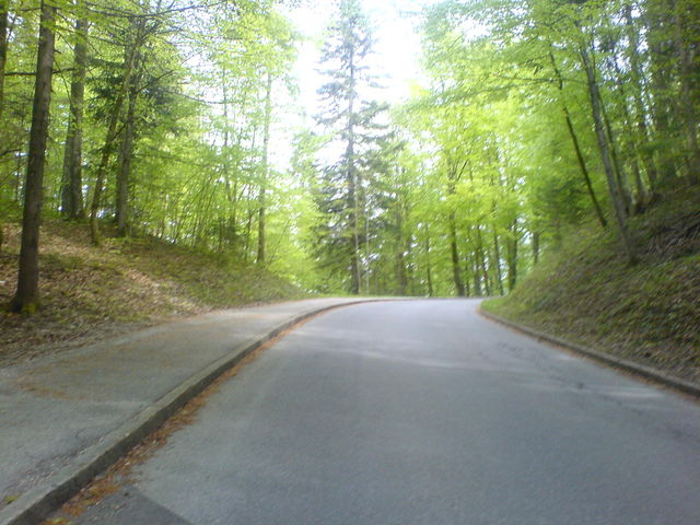 Auf guter Straße durch den Wald